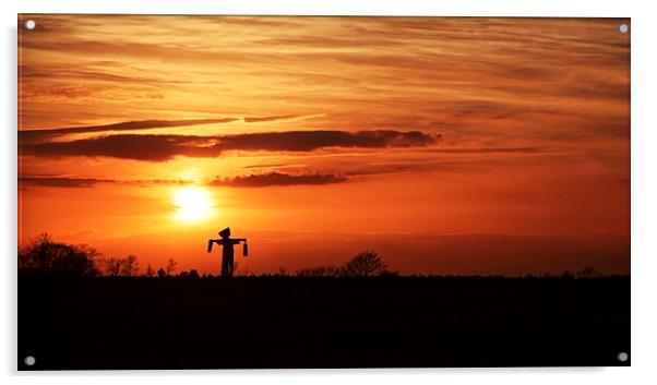 Scarecrow Sunset Acrylic by Ian Merton