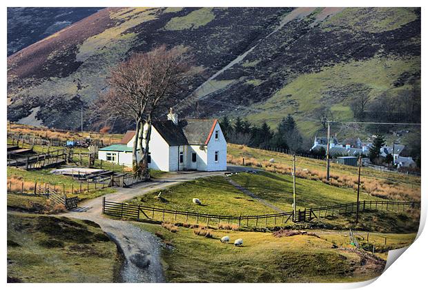 White Cottage Print by Tommy Reilly