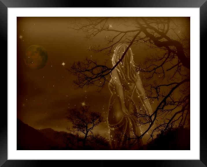 into the night Framed Mounted Print by sue davies