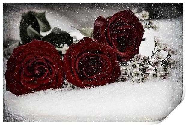 Red Roses with a Touch Print by Sarah Ball