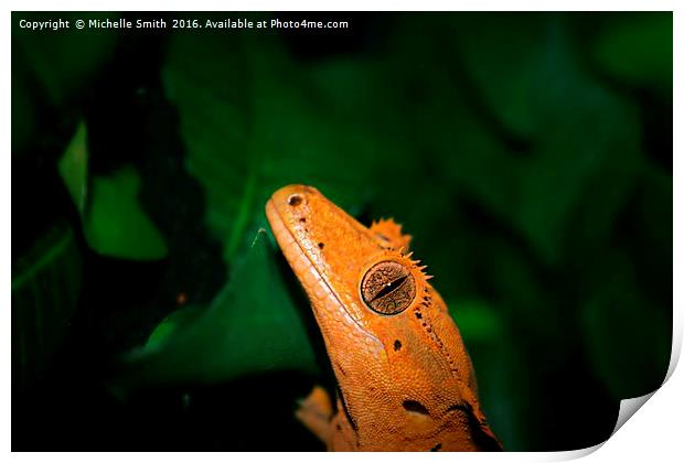 gecko wide eyes Print by Michelle Smith
