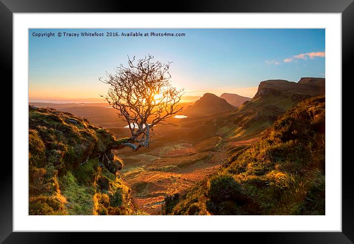 The Quiraing Tree Framed Mounted Print by Tracey Whitefoot