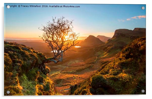 The Quiraing Tree Acrylic by Tracey Whitefoot