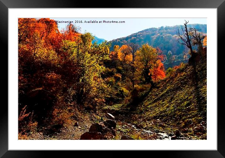 A nice view of Autumn in jungle, Framed Mounted Print by Ali asghar Mazinanian