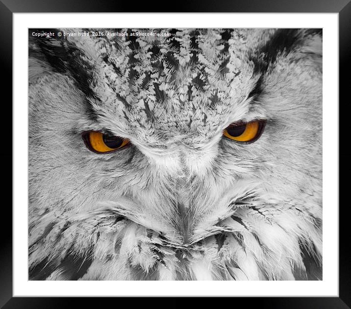  Owl Eyes 2 Framed Mounted Print by bryan hynd