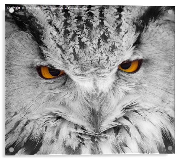  Owl Eyes 2 Acrylic by bryan hynd