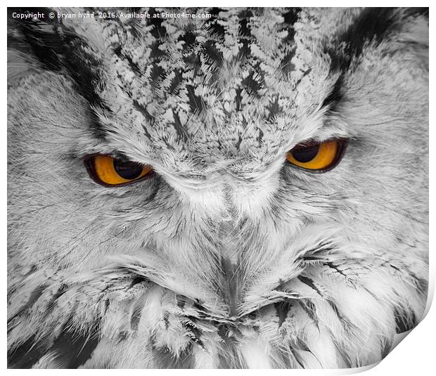  Owl Eyes 2 Print by bryan hynd