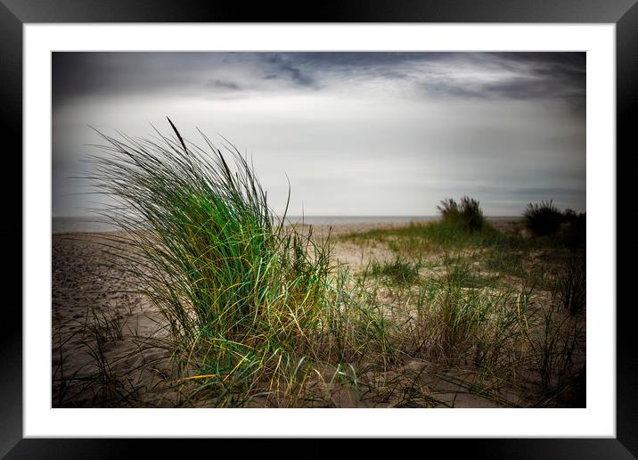 Beach Grass Framed Mounted Print by Svetlana Sewell