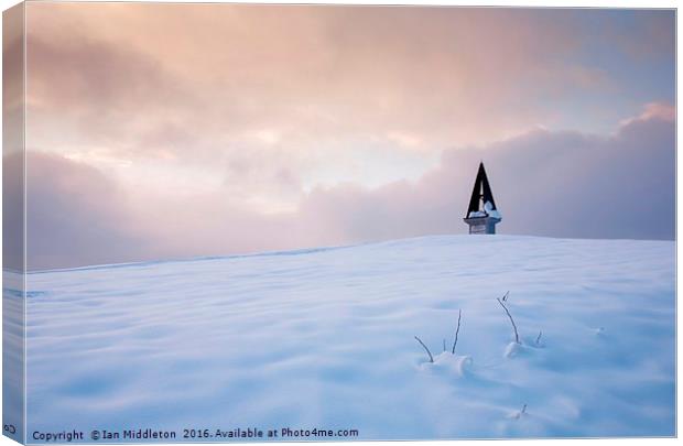 Winter sunset Canvas Print by Ian Middleton