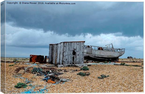 Dungeness Kent Canvas Print by Diana Mower
