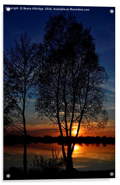 Sunset over lake Acrylic by Beata Aldridge