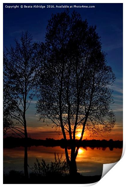 Sunset over lake Print by Beata Aldridge