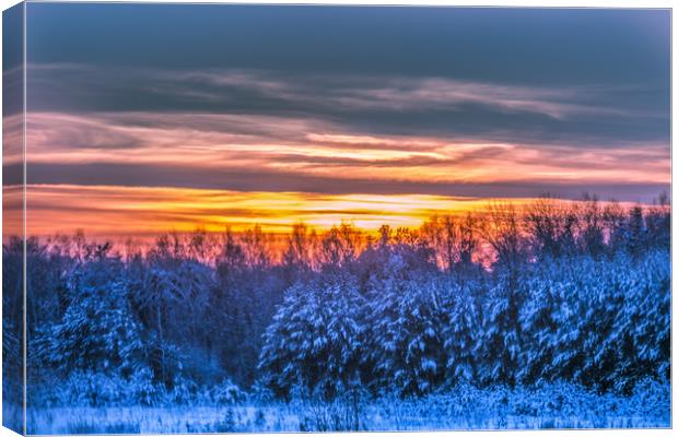 Magic winter sunset Canvas Print by Svetlana Korneliuk