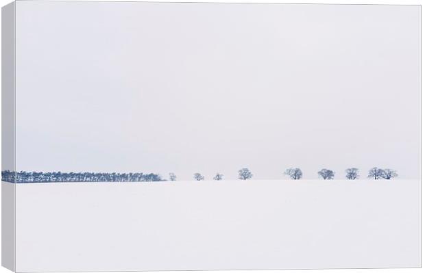 Trees on the horizon of a snow covered field. Norf Canvas Print by Liam Grant