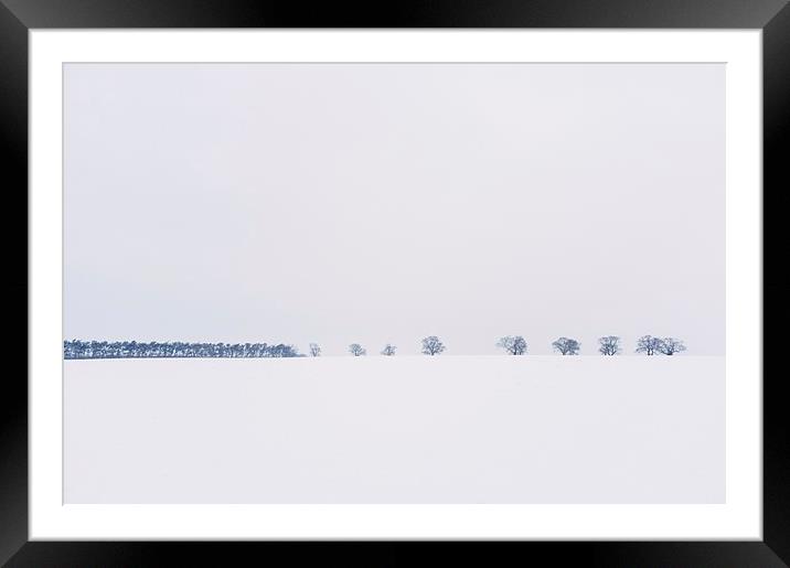 Trees on the horizon of a snow covered field. Norf Framed Mounted Print by Liam Grant