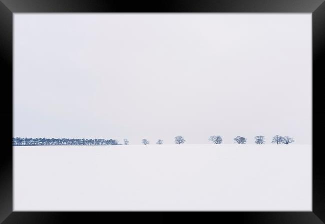 Trees on the horizon of a snow covered field. Norf Framed Print by Liam Grant