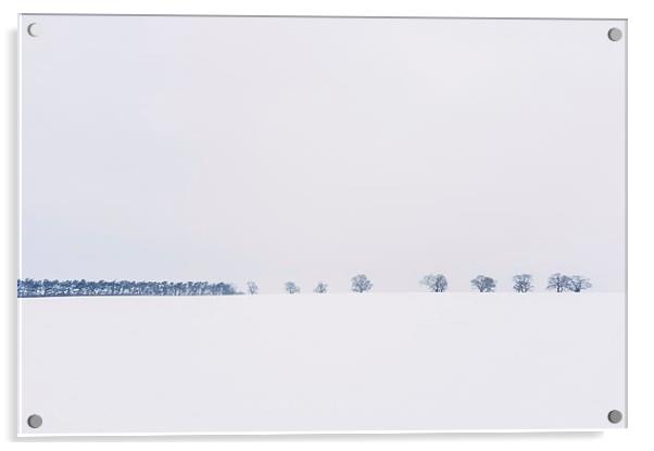 Trees on the horizon of a snow covered field. Norf Acrylic by Liam Grant