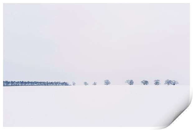 Trees on the horizon of a snow covered field. Norf Print by Liam Grant