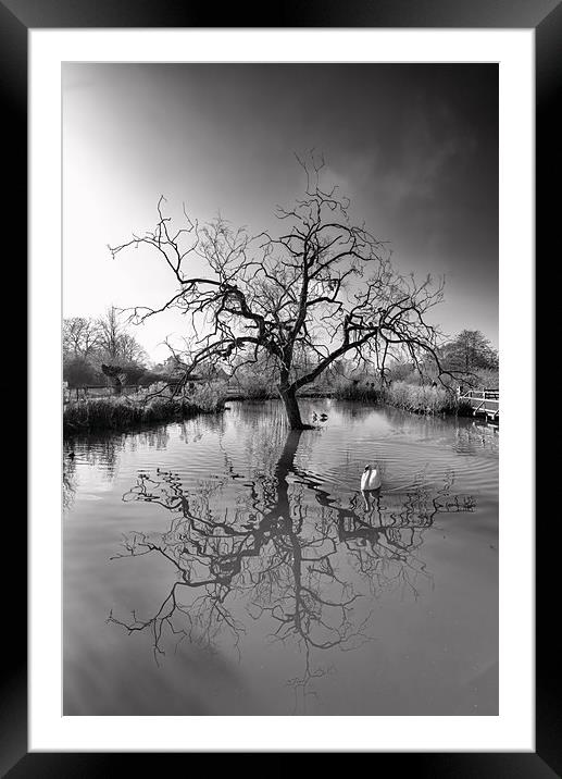 A natural reflection Framed Mounted Print by Andrew Richards