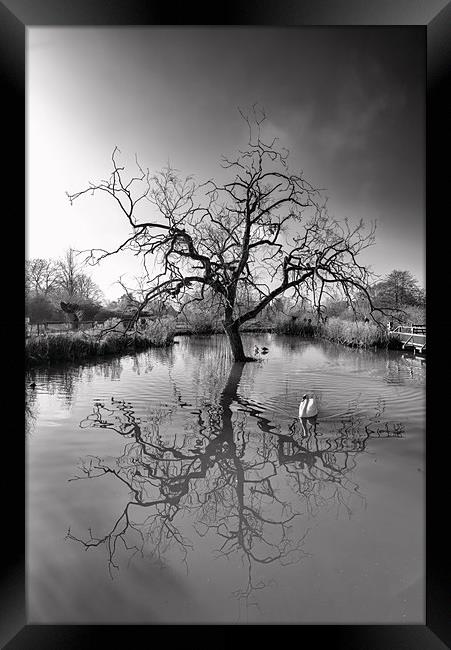A natural reflection Framed Print by Andrew Richards