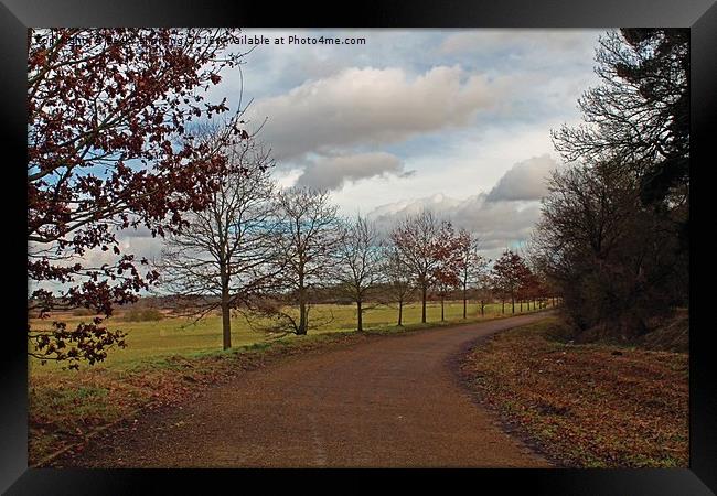 The old Hunstanton Road Framed Print by Becky shorting