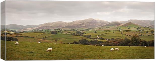 Howgills Panorama Canvas Print by David McCulloch