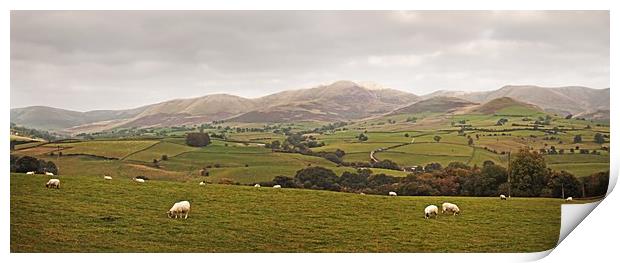 Howgills Panorama Print by David McCulloch