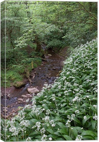 white green flowers moss 8888 Canvas Print by simon powell