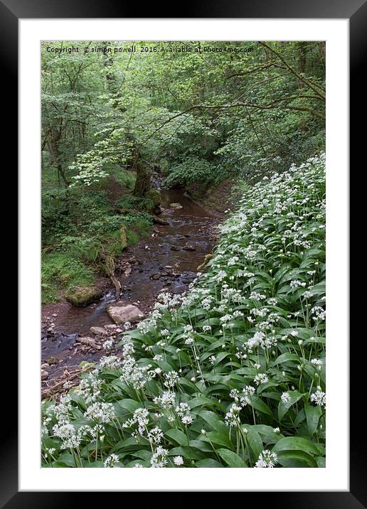 white green flowers moss 8888 Framed Mounted Print by simon powell
