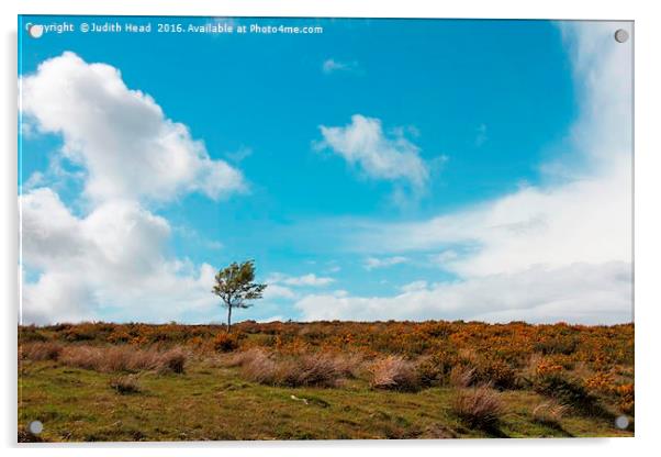 Lone Tree On The Moor Acrylic by Judith Head