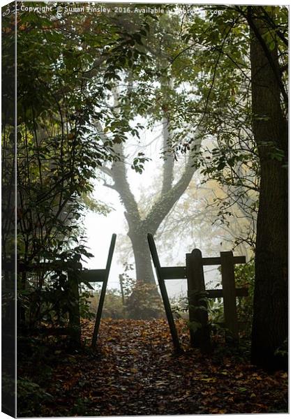 Fairy Glen exit Canvas Print by Susan Tinsley