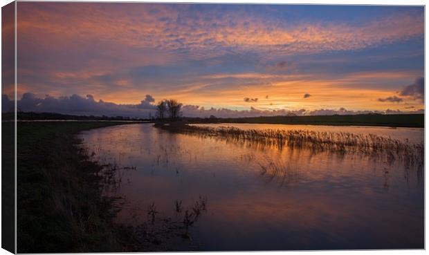 In the light of a new dawn Canvas Print by Stephen Prosser