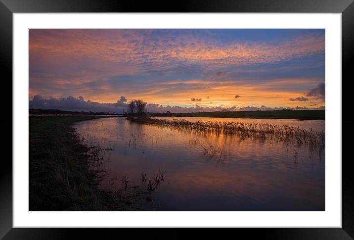 In the light of a new dawn Framed Mounted Print by Stephen Prosser