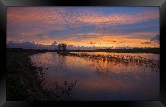 In the light of a new dawn Framed Print by Stephen Prosser