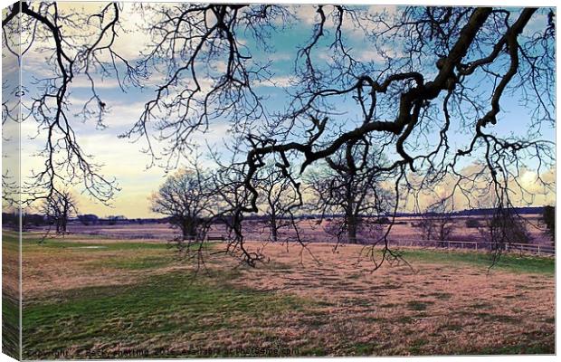 Norfolk Canvas Print by Becky shorting