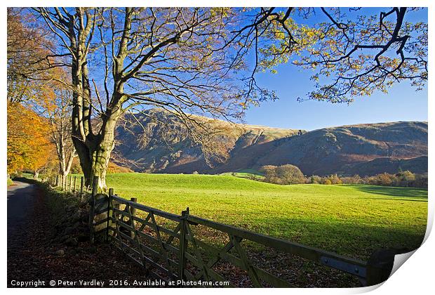 Autumn In Wasdale Print by Peter Yardley