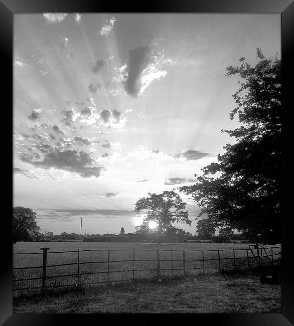 Vintage farmland sunset Framed Print by Ian Lockwood