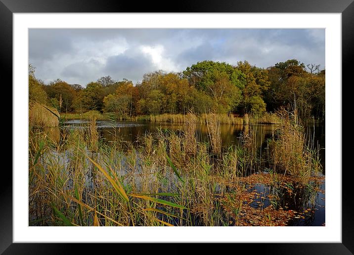 Wake Valley Pond Framed Mounted Print by Diana Mower