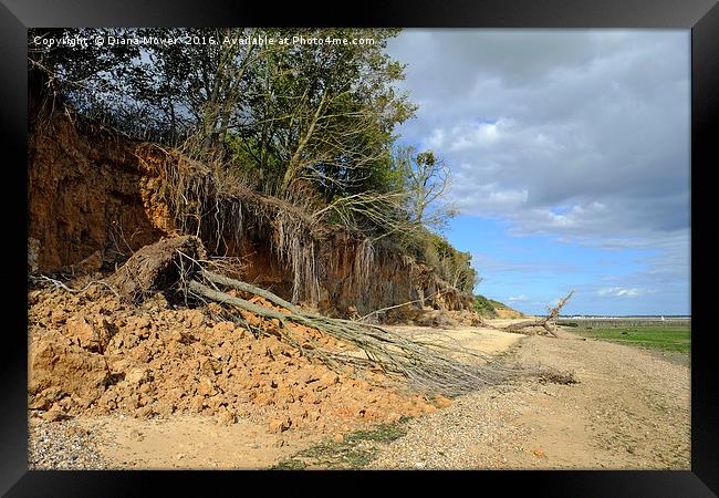 East Mersea Beach Framed Print by Diana Mower