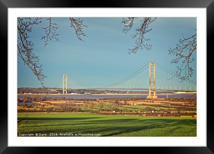 Majestic Humber Bridge Emerging from Nature Framed Mounted Print by P D