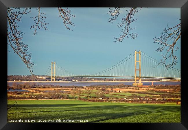 Majestic Humber Bridge Emerging from Nature Framed Print by P D