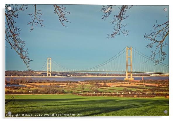 Majestic Humber Bridge Emerging from Nature Acrylic by P D