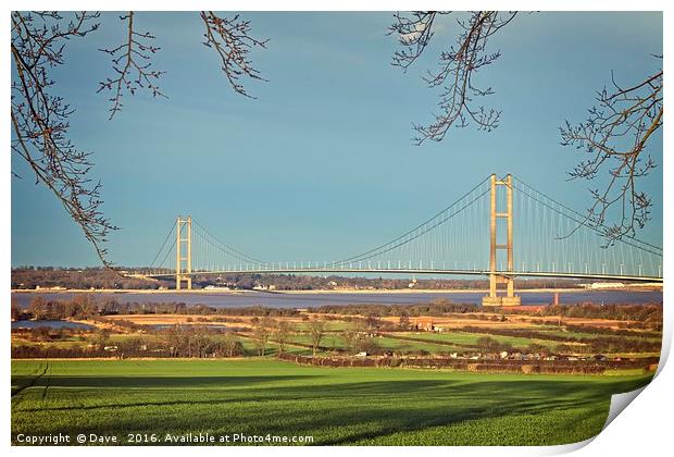 Majestic Humber Bridge Emerging from Nature Print by P D