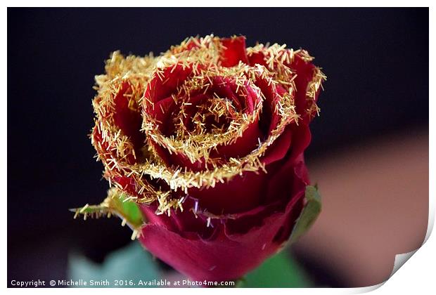 Golden Red Rose Print by Michelle Smith