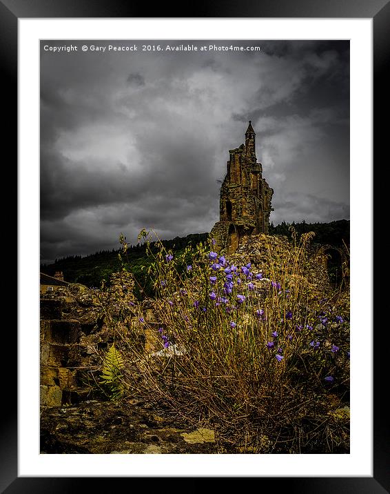 Flowers in the ruins Framed Mounted Print by Gary Peacock