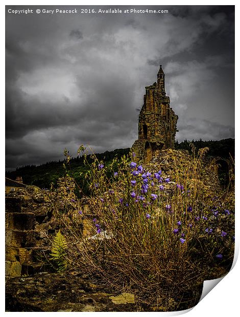 Flowers in the ruins Print by Gary Peacock