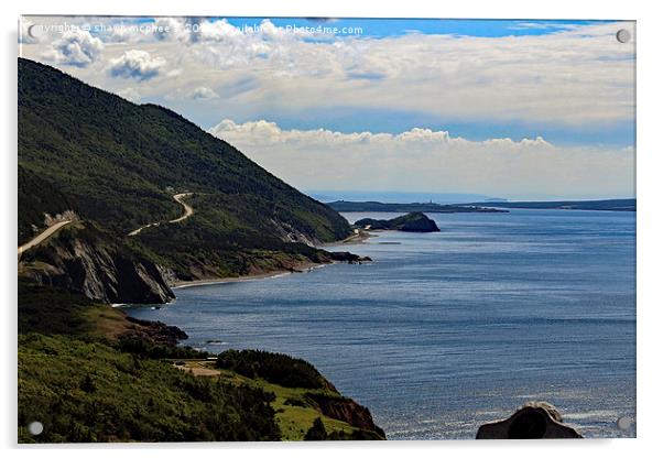 Cabot Trail Acrylic by shawn mcphee I