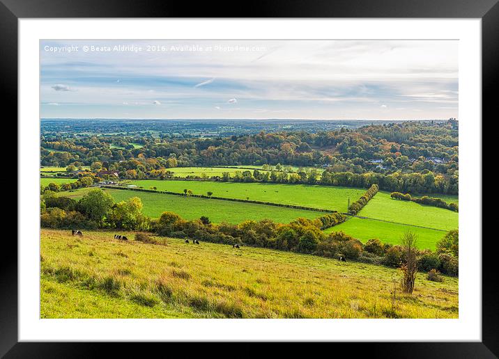 English countryside Framed Mounted Print by Beata Aldridge