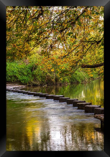 Stepping Stones Framed Print by Beata Aldridge