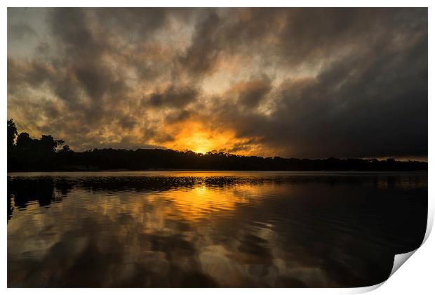 Essequibo river sunrise Print by Gail Johnson